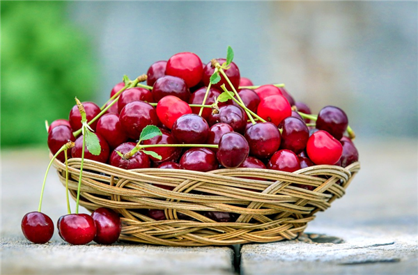 吳尊友回應(yīng)車?yán)遄拥冗M(jìn)口水果怎么吃：注意手衛(wèi)生、吃前流水清洗