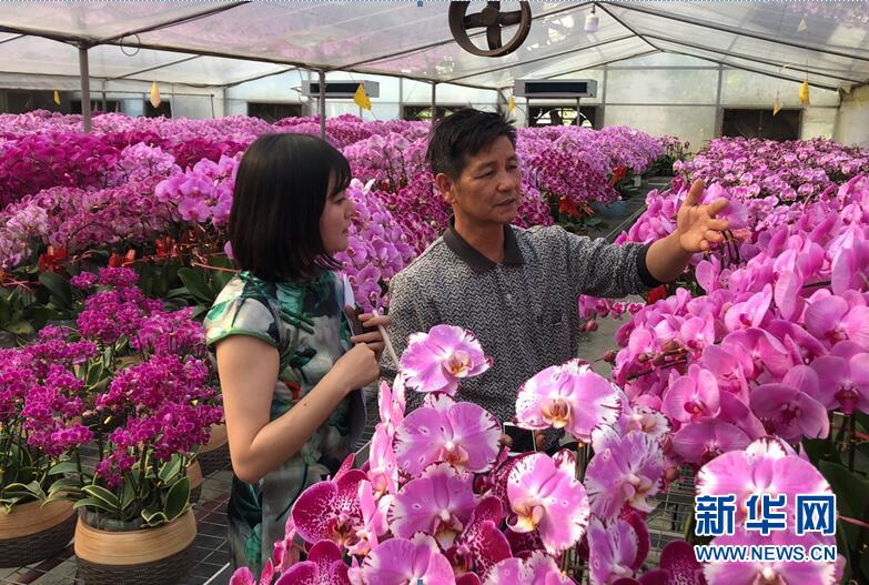 政企多方聯(lián)合社區(qū)團(tuán)購(gòu)助力廣東年花銷(xiāo)售