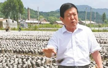 小蘑菇為何能撐起大產(chǎn)業(yè)？李玉院士告訴你