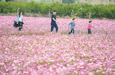 20210218092426180.jpg 1613588085267_1.jpg