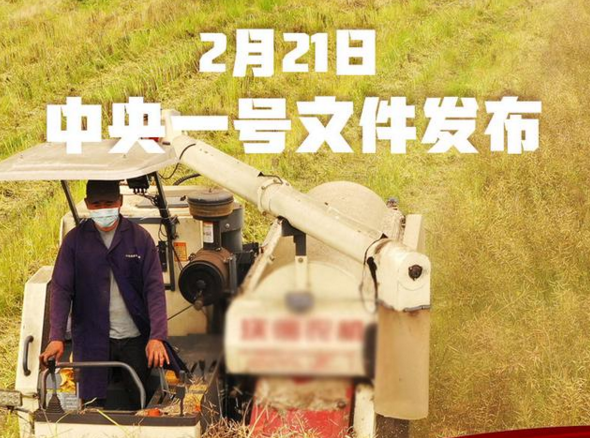 超重磅！2021年中央一號(hào)文件發(fā)布 關(guān)乎所有農(nóng)產(chǎn)品！