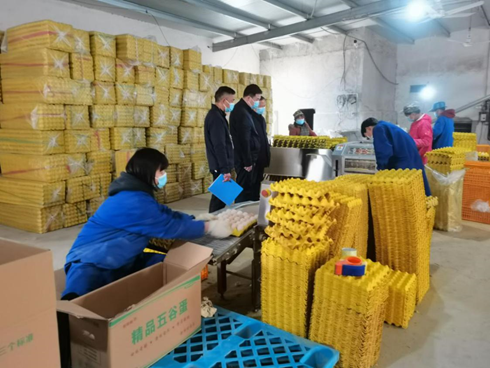 安徽望江國元農保：為“三農”發(fā)展保駕護航