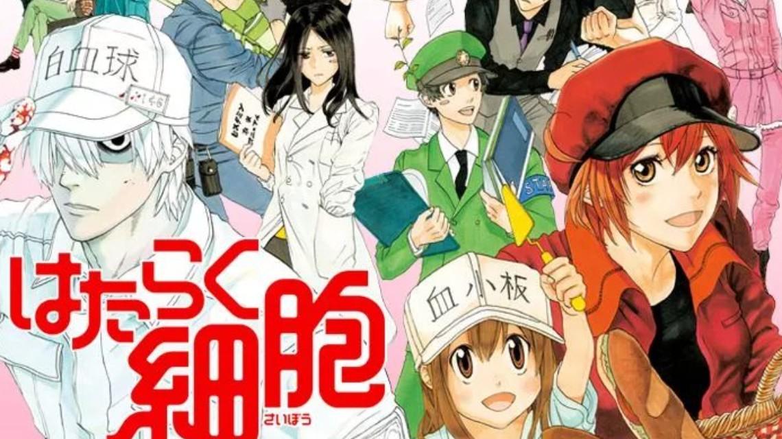 《工作細(xì)胞》第一季上線！時(shí)隔14年！央視再播日本動(dòng)畫