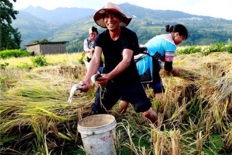 實(shí)現(xiàn)大規(guī)模減貧經(jīng)驗(yàn)值得借鑒！中國(guó)對(duì)世界減貧的貢獻(xiàn)率超70%