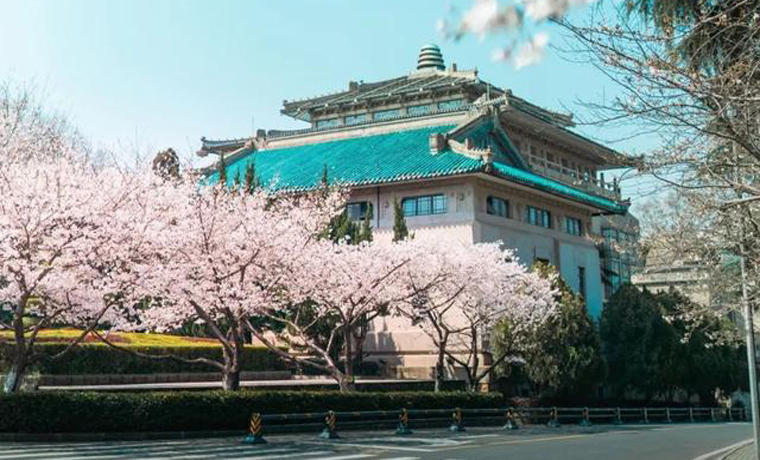 武大賞櫻官宣！最新武漢賞櫻攻略來了