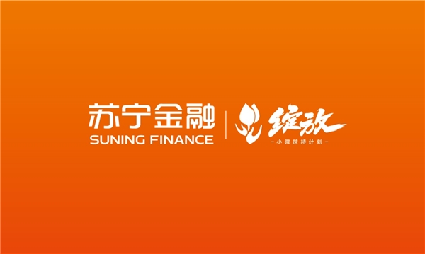政府工作報(bào)告頻提小微企業(yè) 蘇寧金融創(chuàng)新科技幫扶小微