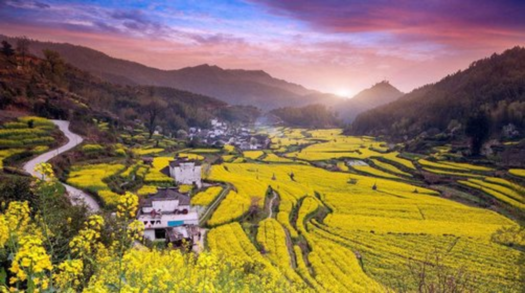 在路上，我和春天有個(gè)約會(huì)