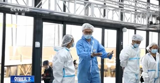 專家：三星堆遺址8號(hào)坑發(fā)現(xiàn)與祭祀建筑相關(guān)遺存