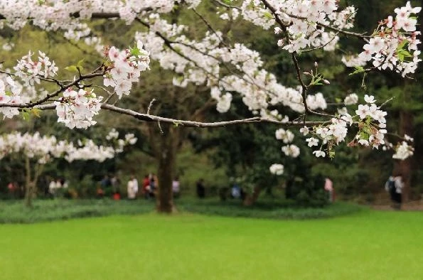 20210401093846929.png 20210401093846929.png