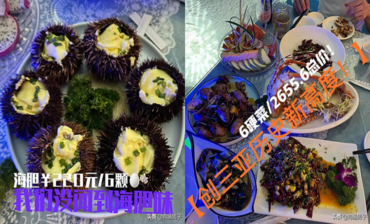 “三亞海膽”事件會(huì)反轉(zhuǎn)？店家稱手握證據(jù)將起訴消費(fèi)者