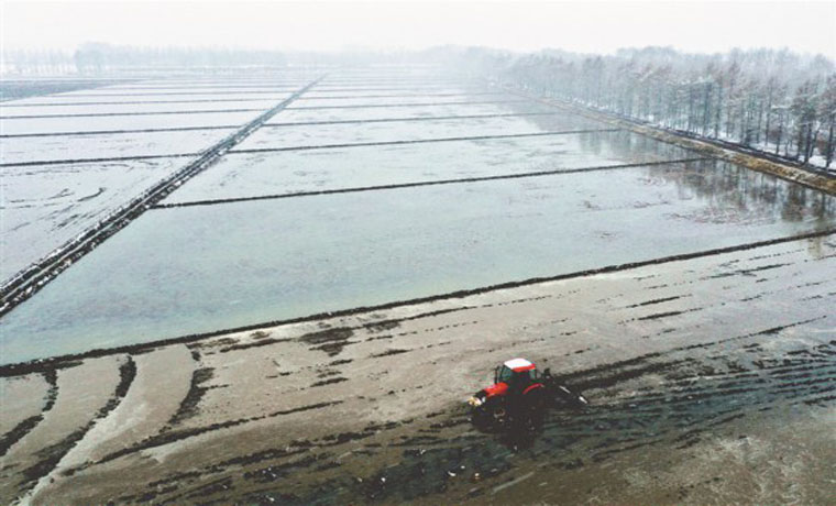 從無(wú)人機(jī)看高標(biāo)準(zhǔn)水田機(jī)械化整地