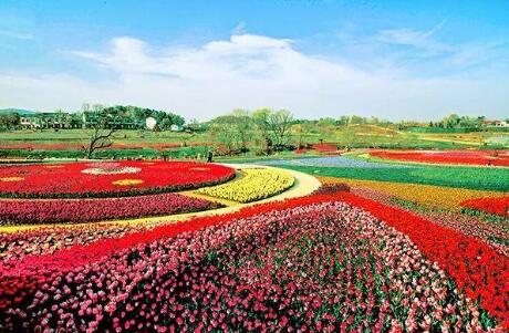 農(nóng)業(yè)農(nóng)村部發(fā)布60條春季精品線路、189個精品景點(diǎn)