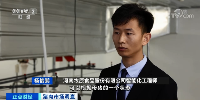 跌破15元！豬肉價(jià)格坐“滑梯”，創(chuàng)19個(gè)月新低！未來(lái)價(jià)格怎么走？