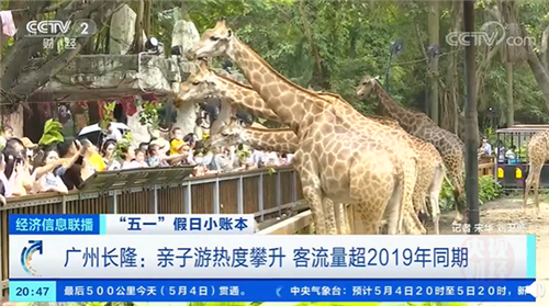 親子游訂單大漲超30%，4口之家親子游花費(fèi)約2萬