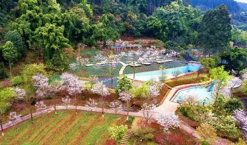 夜游、酒店宅……旅游新場景激發(fā)消費(fèi)潛力