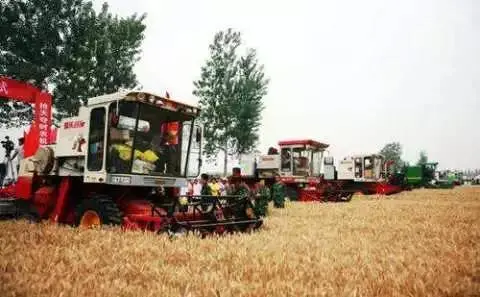 今年預(yù)計(jì)近22萬(wàn)個(gè)農(nóng)業(yè)服務(wù)組織參加“三夏”作業(yè)