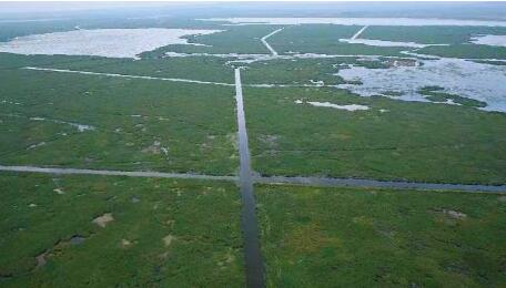 內(nèi)蒙古烏梁素海流域保護(hù)修復(fù)入選10個(gè)中國特色生態(tài)修復(fù)典型案例