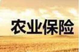 財(cái)政部：壓實(shí)承保機(jī)構(gòu)責(zé)任，保障農(nóng)業(yè)保險(xiǎn)政策順利實(shí)施