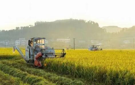 農業(yè)農村部印發(fā)《關于加快發(fā)展農業(yè)社會化服務的指導意見》