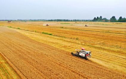 兩增一減，安徽夏糧產(chǎn)量再創(chuàng)新高