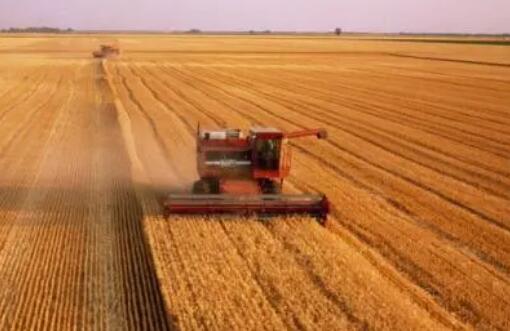 14582萬噸！全國夏糧總產(chǎn)量再創(chuàng)歷史新高