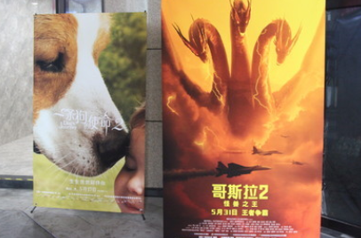 暑期檔來襲你pick哪一部？