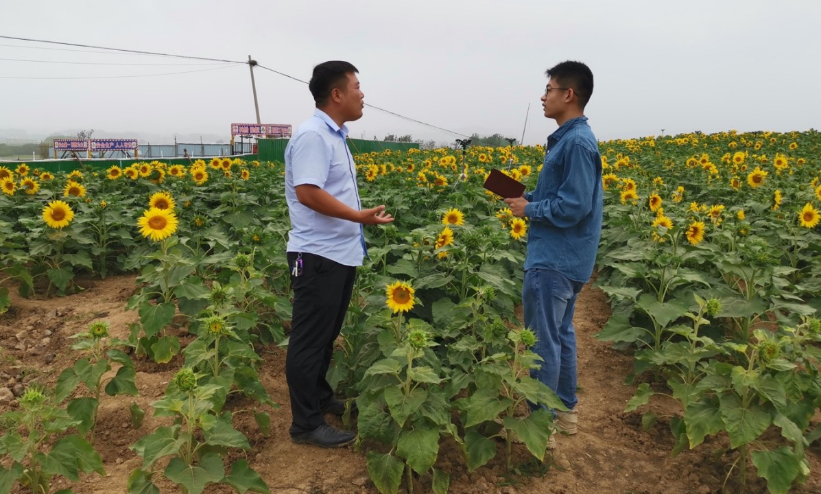 20210720165220379.jpg 20210720165220379.jpg