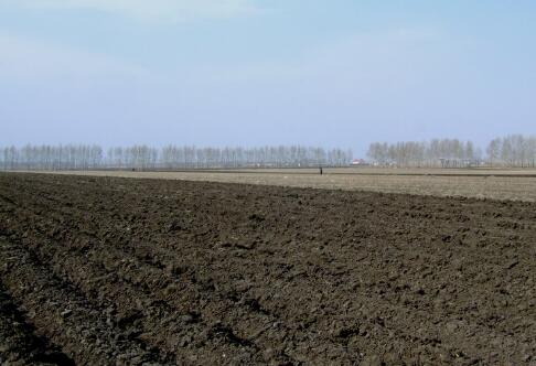 能攥出“油”的黑土地如何“用好養(yǎng)好”？