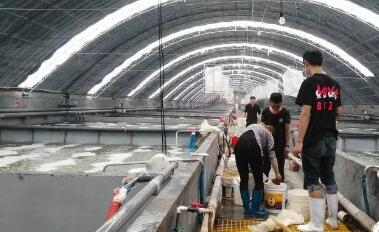 青島蓄勢發(fā)力建設(shè)海洋種都 豐富“藍(lán)色糧倉”