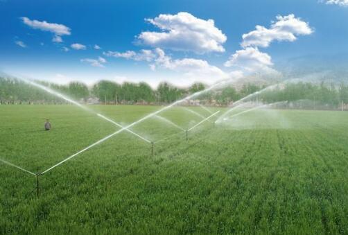 水利部 國(guó)家發(fā)展改革委正式印發(fā)實(shí)施“十四五”重大農(nóng)業(yè)節(jié)水供水工程實(shí)施方案