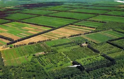 內蒙古：四方面發(fā)力促進形成耕地保護新格局