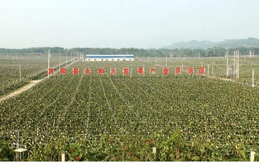 廣西加強農業(yè)高新技術產業(yè)示范區(qū)建設支持力度