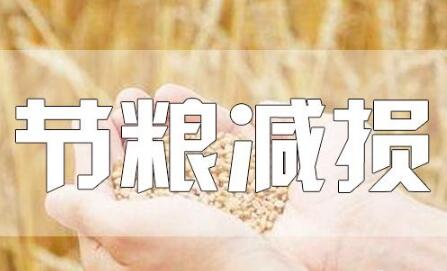 糧食豐收后，如何再增產(chǎn)？節(jié)糧減損可再造“無形良田”