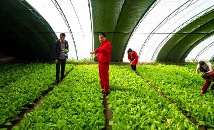 幫扶資金超2億元 援建項(xiàng)目450余個(gè) 中國石油多措并舉因地制宜推進(jìn)鄉(xiāng)村振興