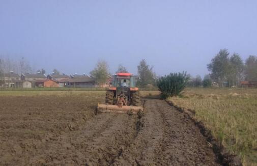 保冬播 農(nóng)業(yè)農(nóng)村部制定方案應(yīng)對極端天氣