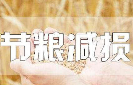 中央再促節(jié)糧減損 強調綜合施策配套銜接