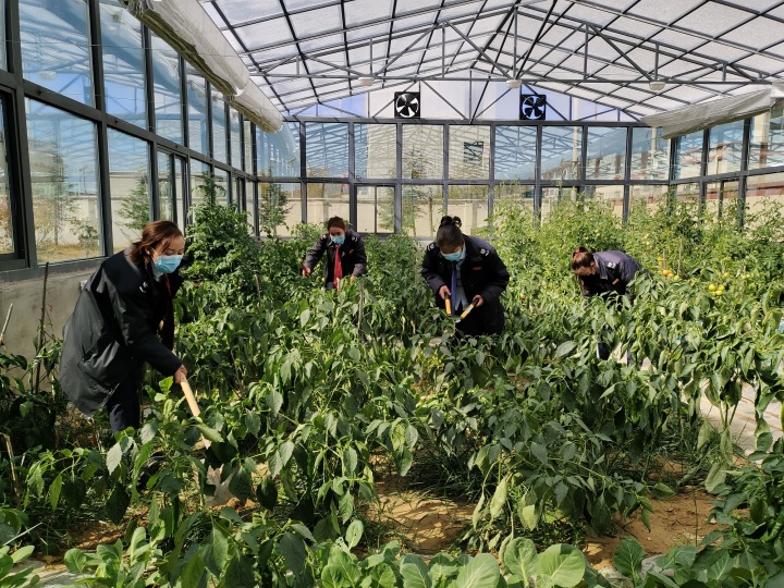 20211116151826994.jpg 20211116151826994.jpg