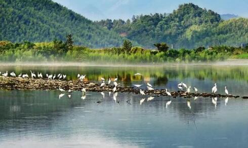 生態(tài)環(huán)境部有關(guān)負責(zé)同志就《河湖生態(tài)緩沖帶保護修復(fù)技術(shù)指南》答記者問