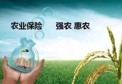 財政部有關(guān)負責人就修訂出臺《中央財政農(nóng)業(yè)保險保費補貼管理辦法》答記者問