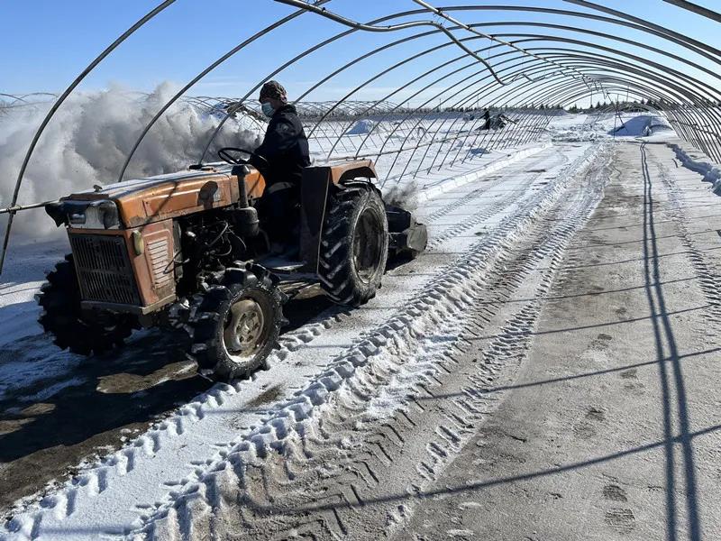 北大荒集團七星農(nóng)場：備耕搶農(nóng)時 服務促春耕