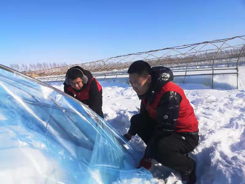 20220218102501712.png 20220218102501712.png