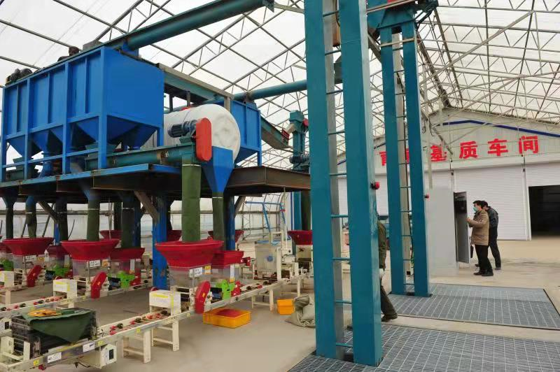 20220221122352220.png 20220221122352220.png