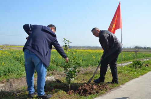 20220311141831175.png 圖片2.png