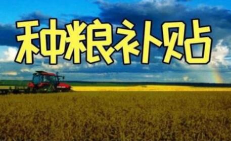 200億元！一次性補(bǔ)貼給實(shí)際種糧農(nóng)民！