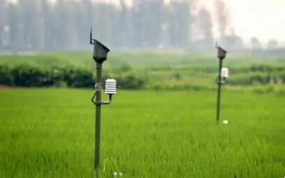 全國農(nóng)業(yè)氣象服務(wù)專家組成立 為保障糧食安全貢獻(xiàn)智庫力量