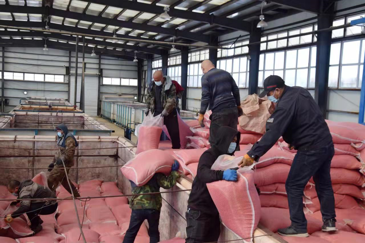 20220322202641595.png 20220322202641595.png