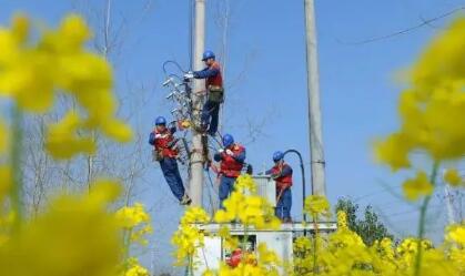 農網智能化、數(shù)字化賦能農村能源轉型