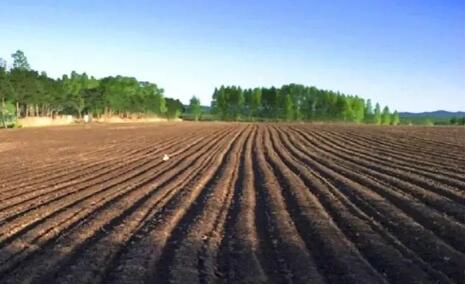 內(nèi)蒙古完成黑土地保護(hù)性耕作1440.4萬畝  超額完成國(guó)家任務(wù)