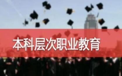 首屆本科生畢業(yè)，走近職業(yè)本科教育