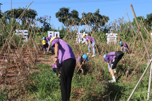 重慶化工職業(yè)學院·青春三下鄉(xiāng)——星火燃燒，化漫漫征途為青春行歌
